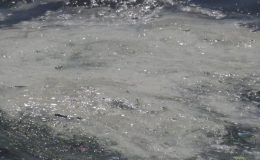 Marmara’da müsilaj geri mi dönüyor? Körfez’den numune alındı